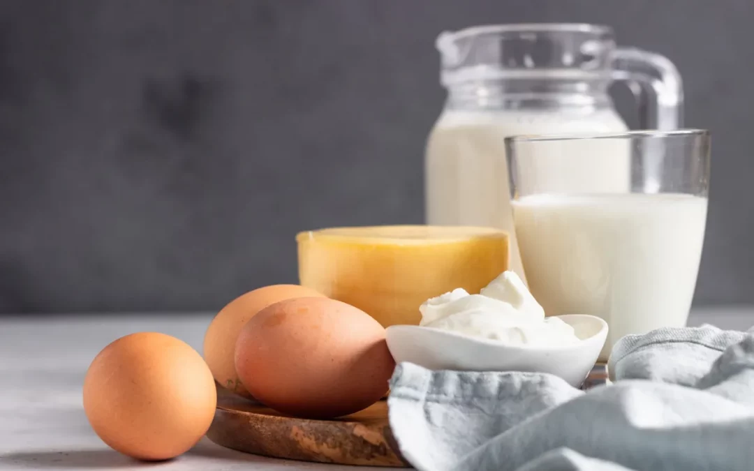 A Closer Look At Dairy and Dairy Alternatives